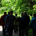 Schottland-0140