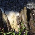 Schottland-0149
