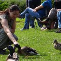 Schottland-0206