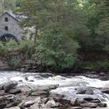 Schottland-0210