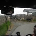 irland_0255